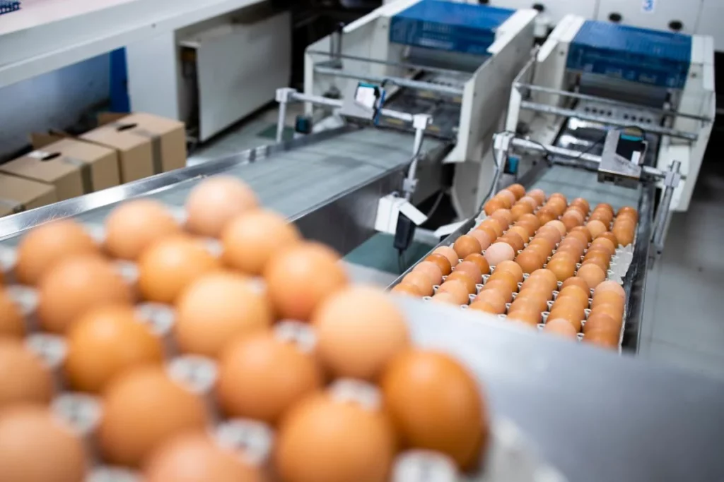 Empresas exportadoras de alimentos